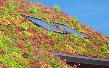 Rhydspence living roof systems